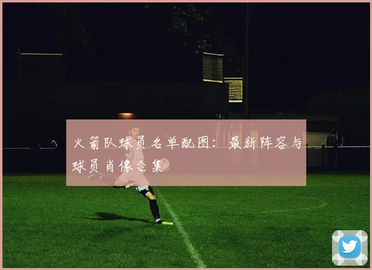 火箭队球员名单配图：最新阵容与球员肖像合集