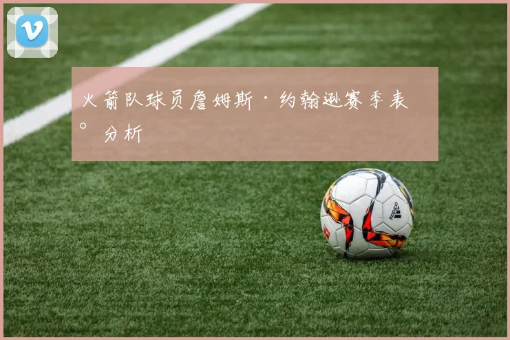 火箭队球员詹姆斯·约翰逊赛季表现分析