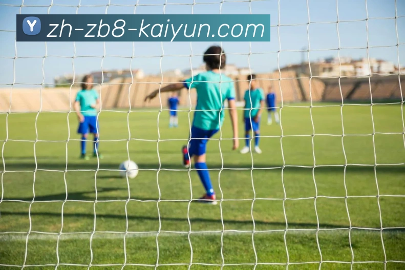 开云体育APP 封面图